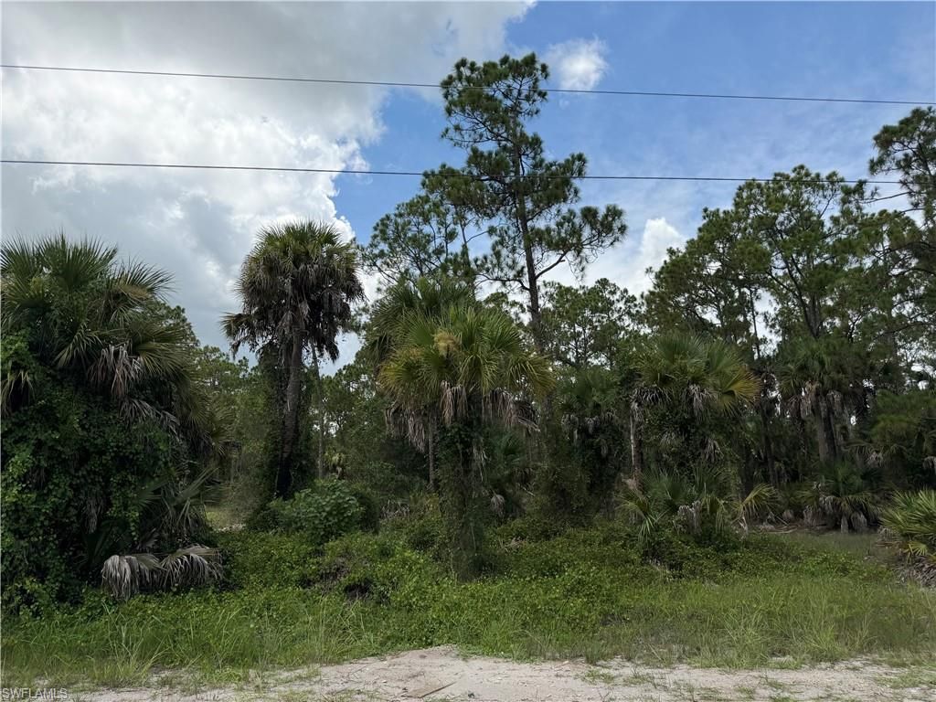 1723 Palmetto AVE, LEHIGH ACRES, FL 33972 — exterior
