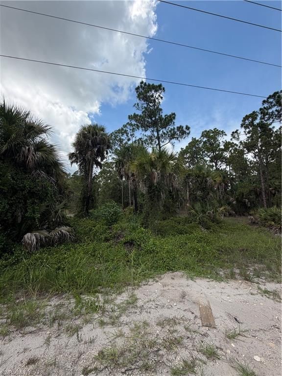 1723 Palmetto AVE, LEHIGH ACRES, FL 33972 — photo 2