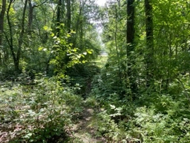 3501 Beckwith Lane, Crete, IL 60417