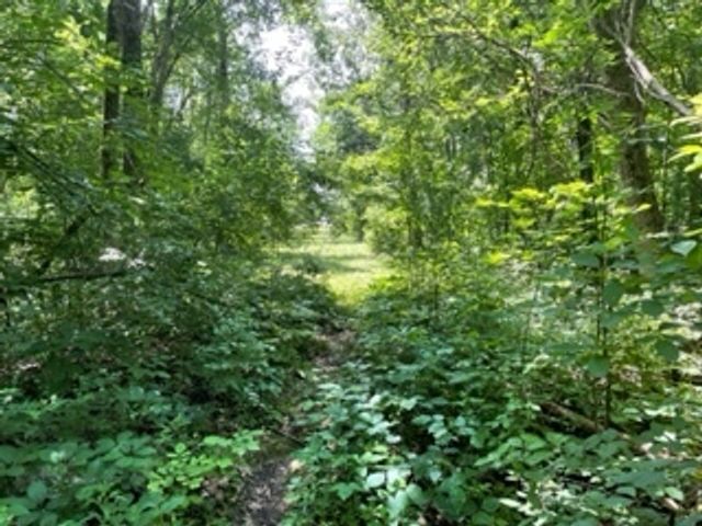 3501 Beckwith Lane, Crete, IL 60417