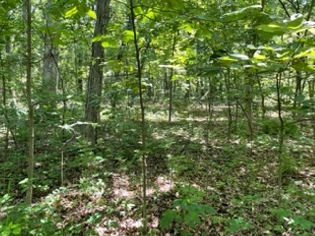 3501 Beckwith Lane, Crete, IL 60417