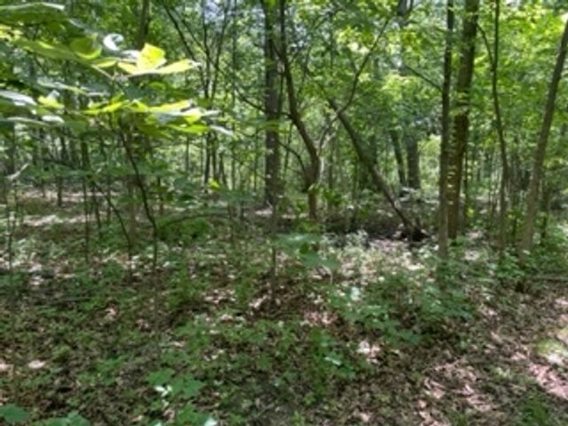 3501 Beckwith Lane, Crete, IL 60417