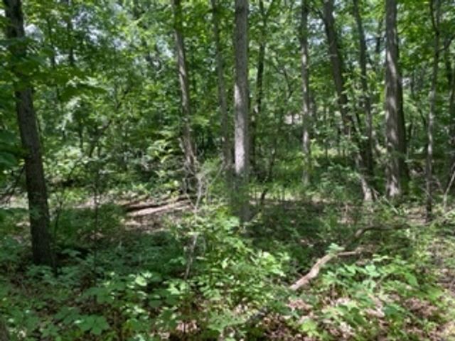 3501 Beckwith Lane, Crete, IL 60417
