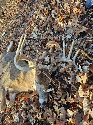 3316 Haynes Road, Leslie, MI 49251