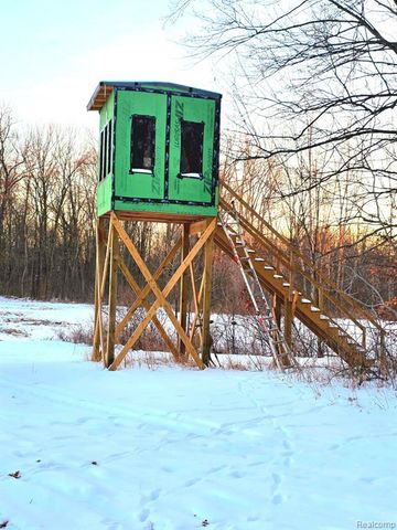 3316 Haynes Road, Leslie, MI 49251