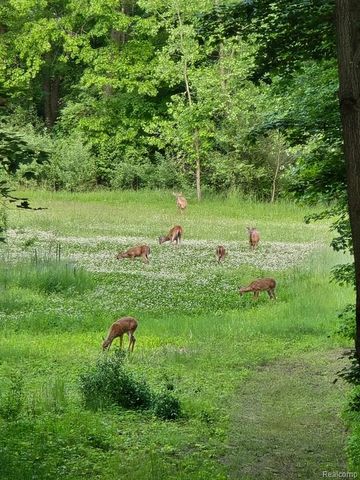 3316 Haynes Road, Leslie, MI 49251