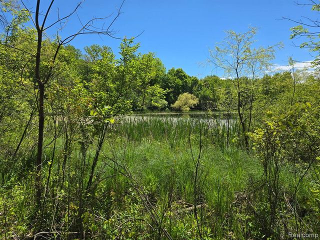 3316 Haynes Road, Leslie, MI 49251