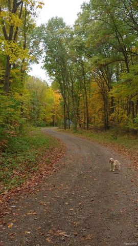 3316 Haynes Road, Leslie, MI 49251