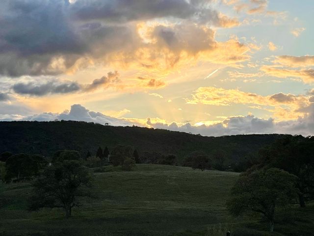 73 Quail Hollow Ln, Copperopolis, CA 95228