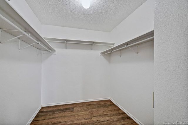 14402 Cedar Glade, San Antonio, TX 78230