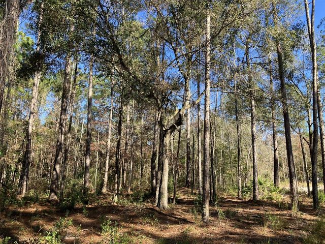 10050 EBERT AVENUE, Hastings, FL 32145