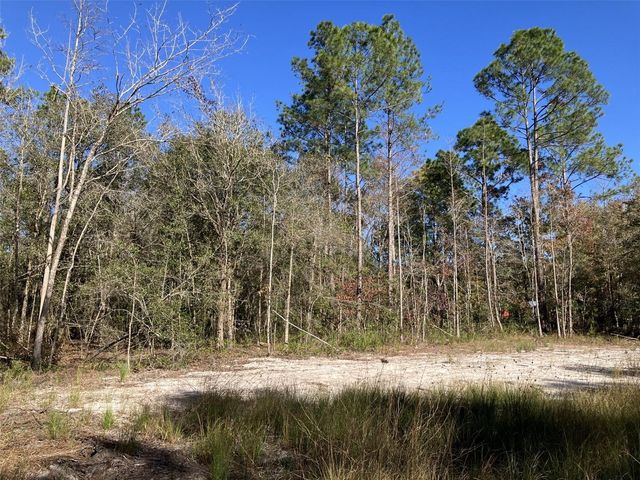 10050 EBERT AVENUE, Hastings, FL 32145