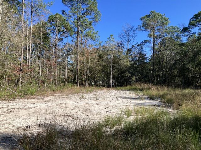 10050 EBERT AVENUE, Hastings, FL 32145