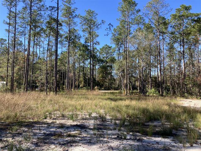 10050 EBERT AVENUE, Hastings, FL 32145