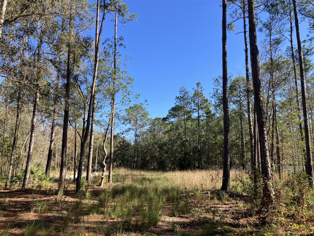 10050 EBERT AVENUE, Hastings, FL 32145