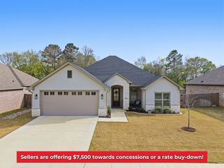 416 Deer Point Cove, Chandler, TX 75758