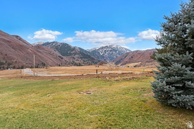 9133 ELDERBERRY LN, Provo Canyon, UT 84604