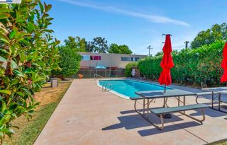 1560 Pine St 14, Concord, CA 94520