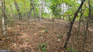 LOT 20 LONG VIEW DR, Luray, VA 22835