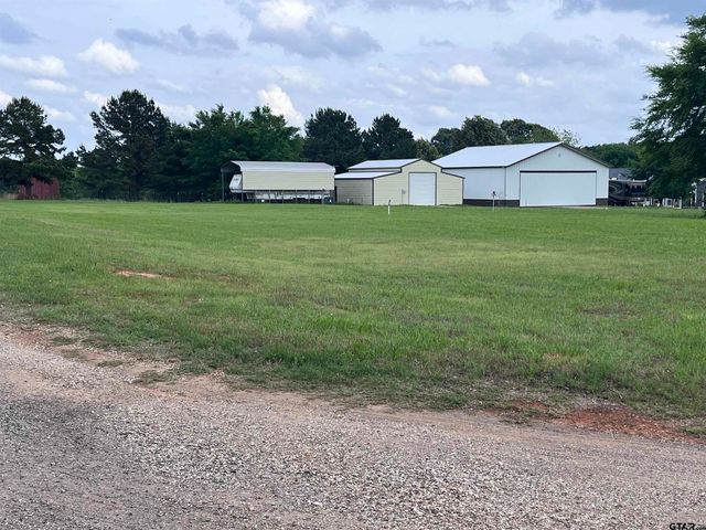 TBD Loop Dr, Frankston, TX 75763