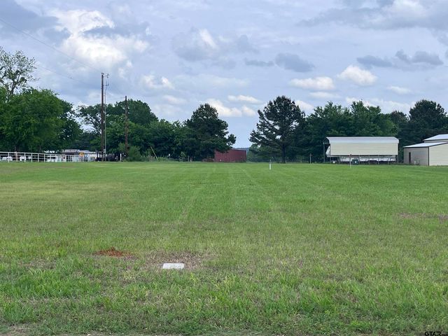 TBD Loop Dr, Frankston, TX 75763