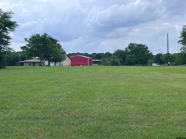 TBD Loop Dr, Frankston, TX 75763