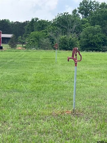 TBD Loop Dr, Frankston, TX 75763