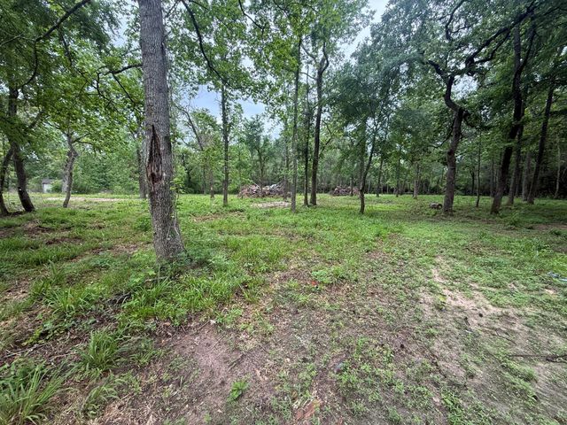 78 Hall Drive N, Montgomery, TX 77316