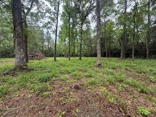 78 Hall Drive N, Montgomery, TX 77316