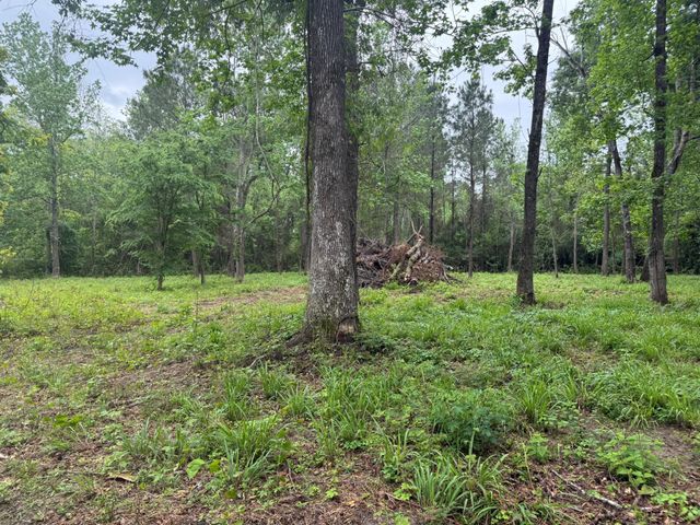 78 Hall Drive N, Montgomery, TX 77316