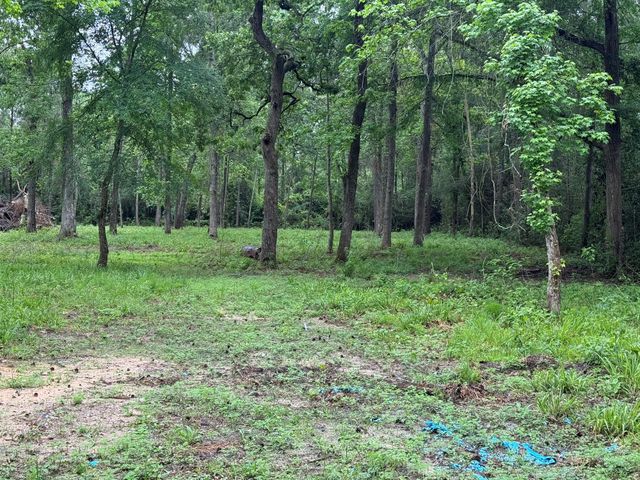 78 Hall Drive N, Montgomery, TX 77316