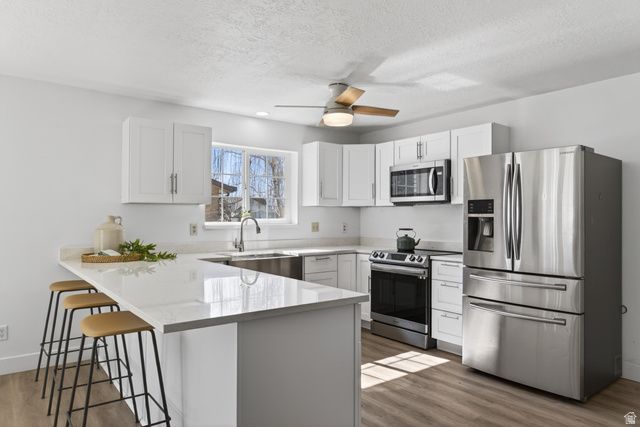 1403 S 625 E, Springville, UT 84663