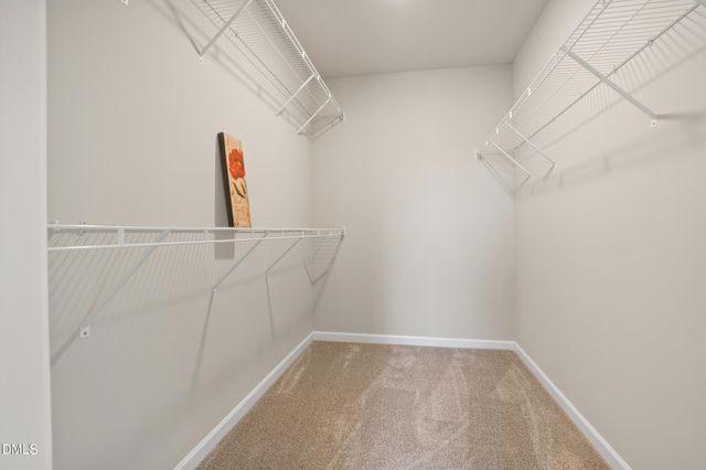 161 Grace Rdg Court, Benson, NC 27504