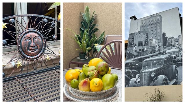 1542 OAK STREET 102, Sarasota, FL 34236