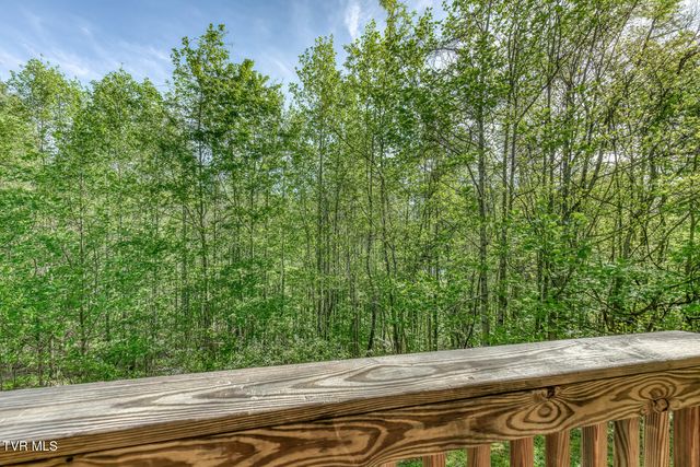 514 Piney Grove Road, Hampton, TN 37658