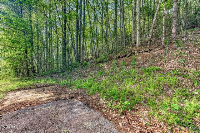514 Piney Grove Road, Hampton, TN 37658