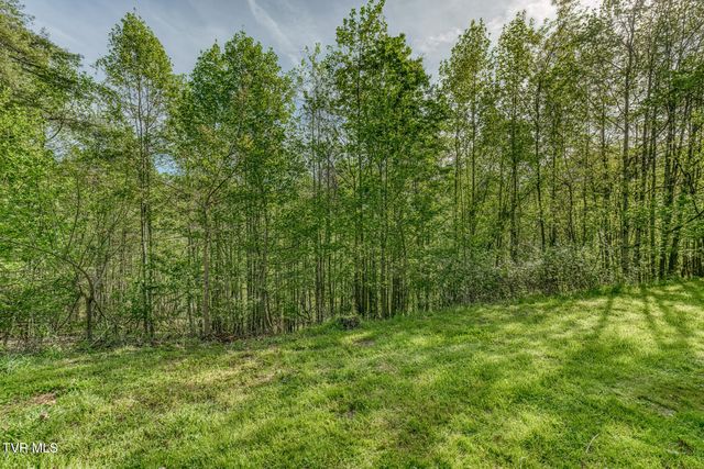 514 Piney Grove Road, Hampton, TN 37658