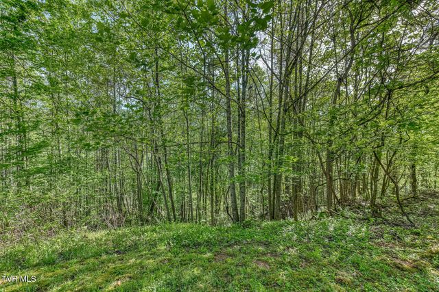 514 Piney Grove Road, Hampton, TN 37658