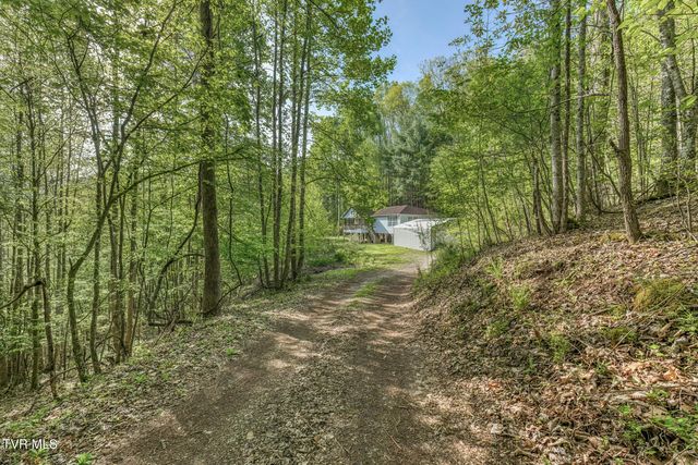 514 Piney Grove Road, Hampton, TN 37658