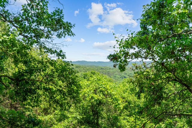 277 Arizona Drive, Branson, MO 65616