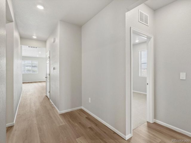 1624 Yampa River Drive, Windsor, CO 80550