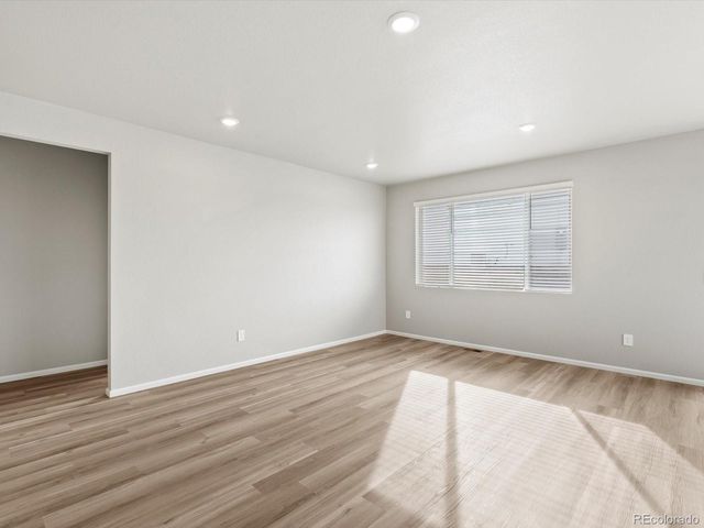 1624 Yampa River Drive, Windsor, CO 80550