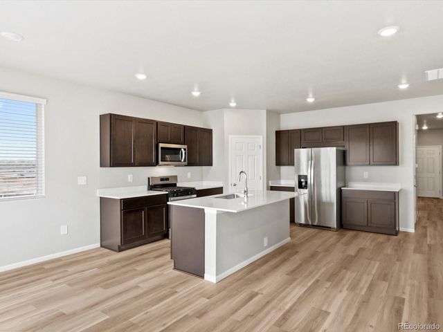 1624 Yampa River Drive, Windsor, CO 80550