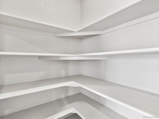 1624 Yampa River Drive, Windsor, CO 80550