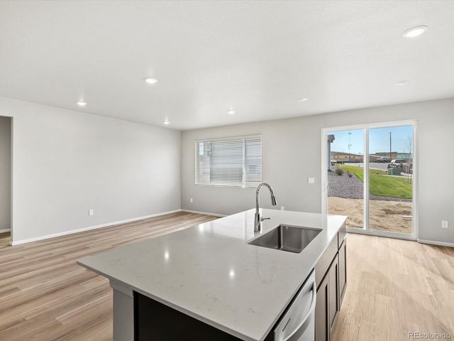 1624 Yampa River Drive, Windsor, CO 80550