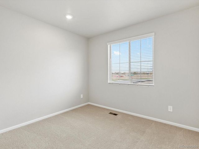 1624 Yampa River Drive, Windsor, CO 80550