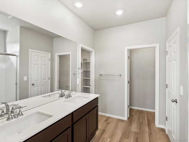 1624 Yampa River Drive, Windsor, CO 80550