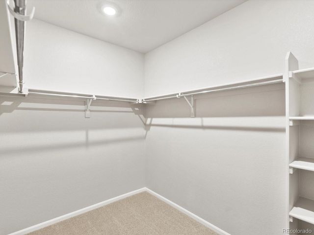 1624 Yampa River Drive, Windsor, CO 80550