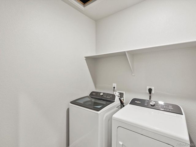 1624 Yampa River Drive, Windsor, CO 80550