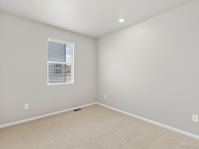 1624 Yampa River Drive, Windsor, CO 80550